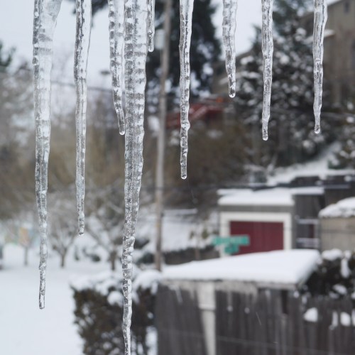 icicles