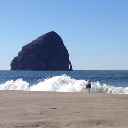 Haystack Rock Cape Kiwanda