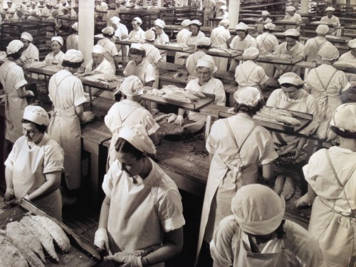 cannery workers