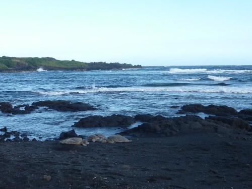 punalu'u black sand beach