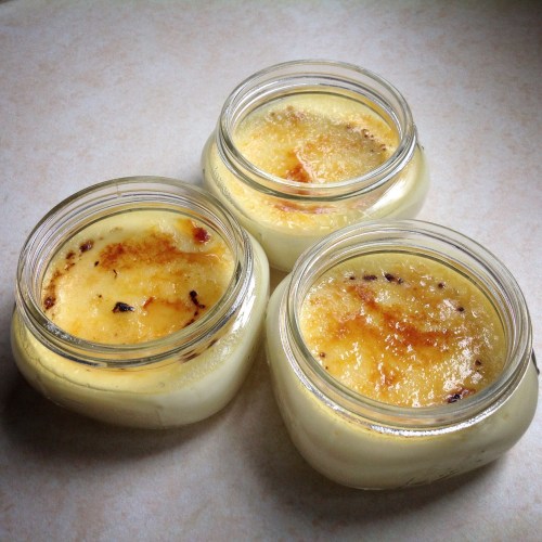 pdxknitterati crème brûlée