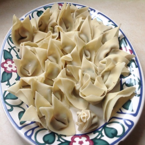 pdknitterati wontons