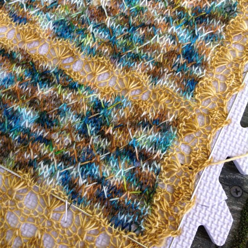 sophie's rose enchanted forest