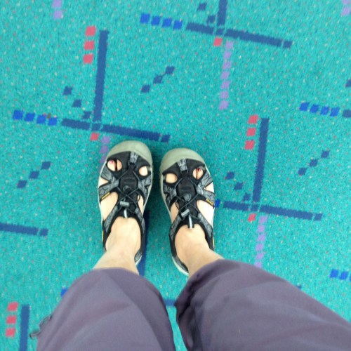 pdxcarpet