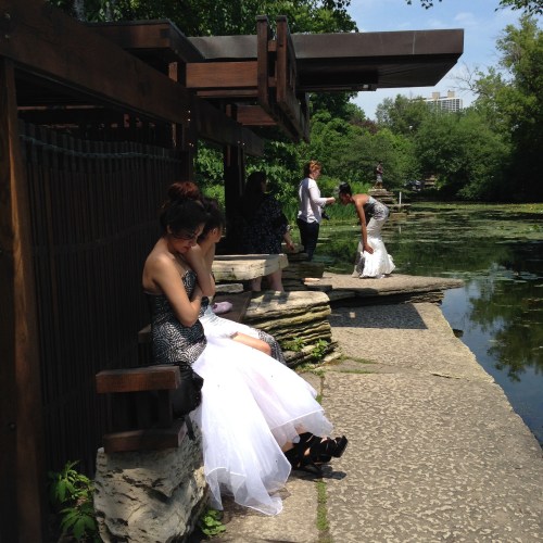 lily pool photo shoot