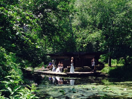 Caldwell Lily Pool Chicago