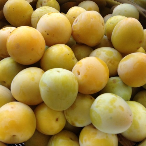 yellow plums