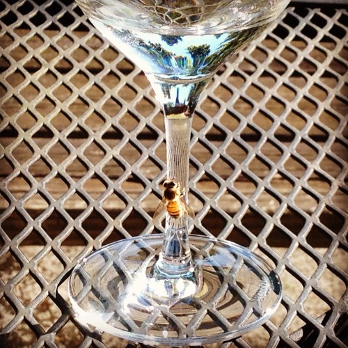 bee wine glass not perigord