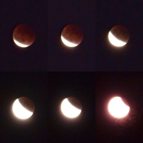 pdxknitterati supermoon harvest moon eclipse 2015