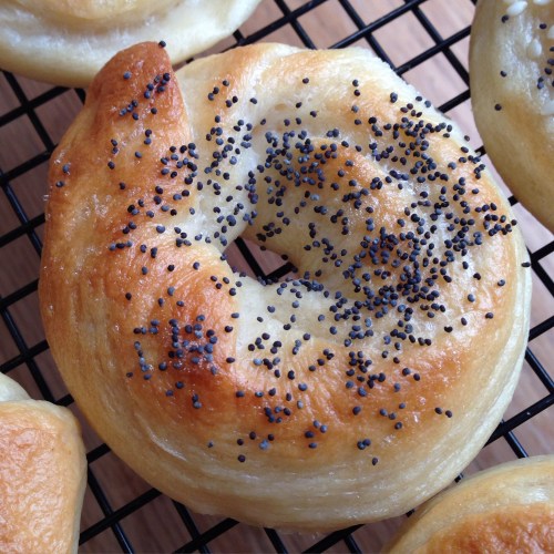 bagel