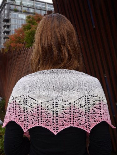 pdxknitterati lobelia shawlette