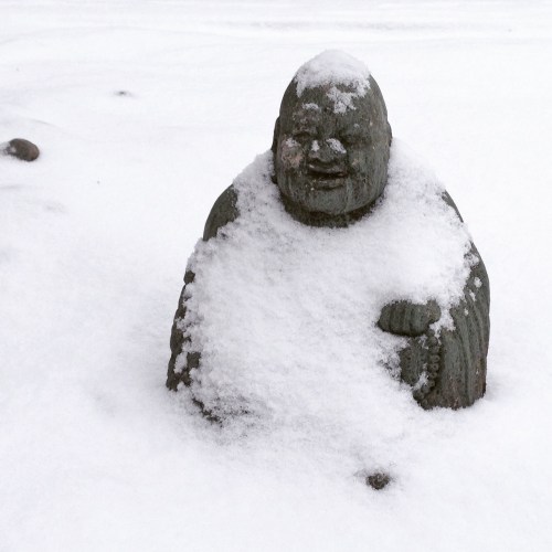 chilly buddha
