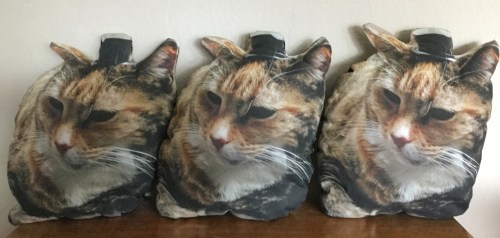 cat pillows