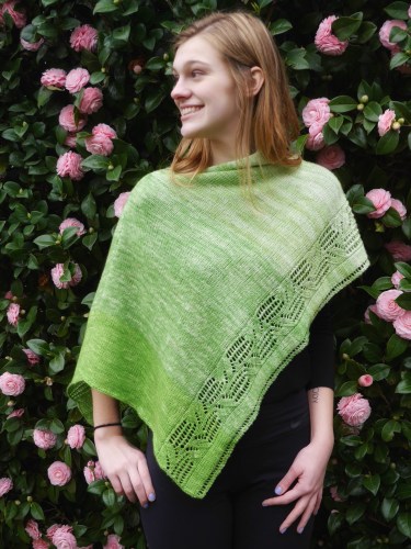 Beanstalk poncho 2