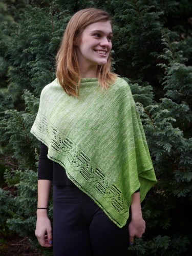 Beanstalk Poncho