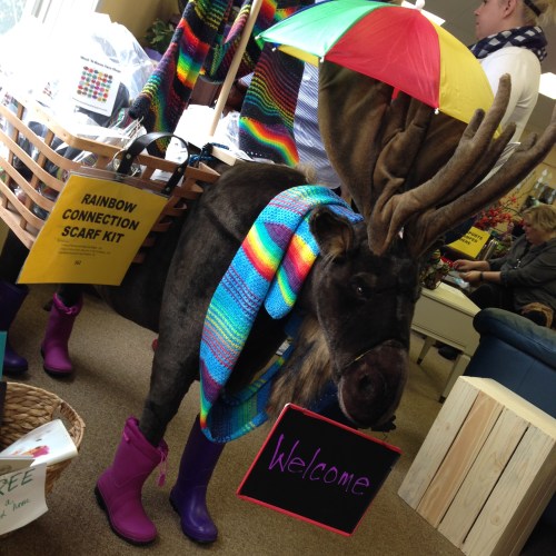 rainbow connection moose