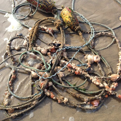 rope and sea creatures