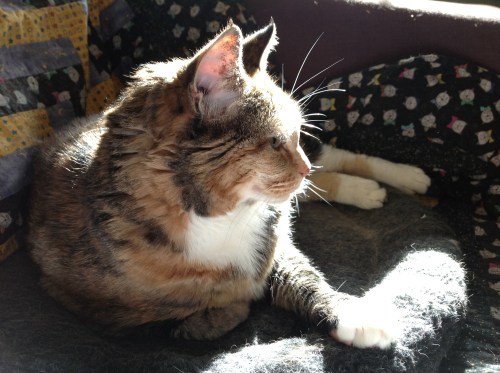 Princess Mookie Nguyen