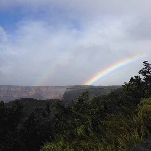 Double Rainbow Kona