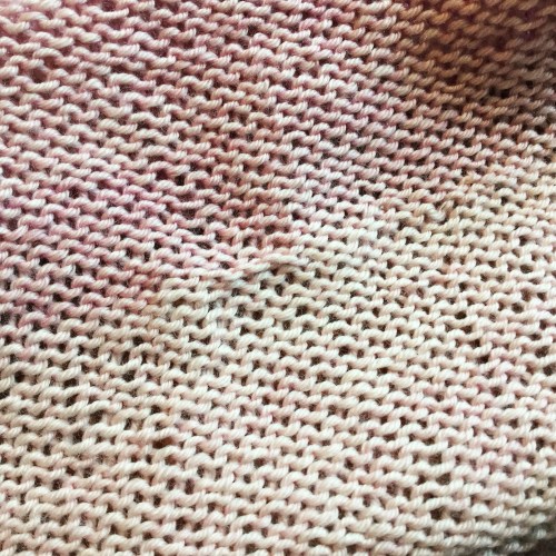 snagged ws twin leaf