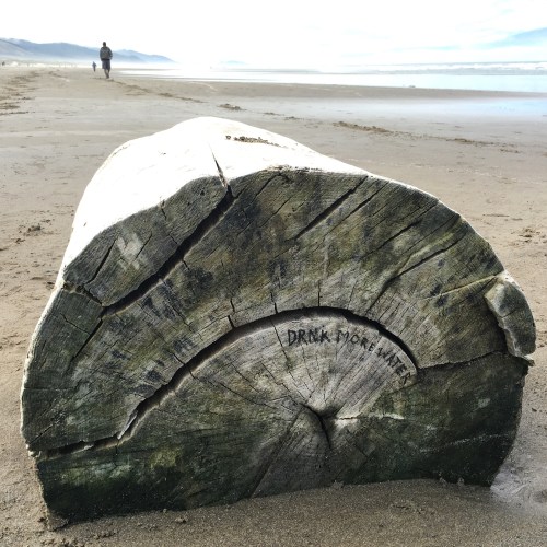message from the sea on a log