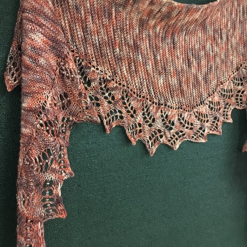 Anna's Fern Shawlette