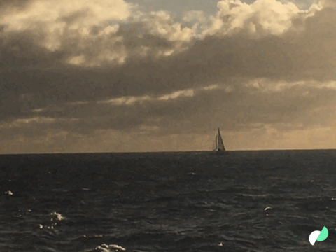 Whale spout off Lana'i