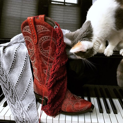 Red Zephyr and Biscuit