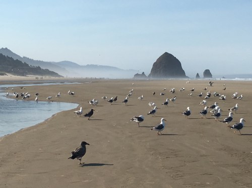 Haystack Rock at Cannon Beach