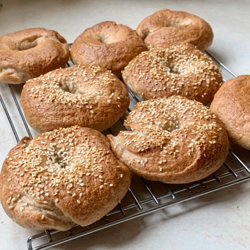 homemade bagels