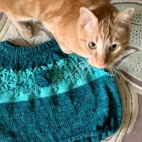 Love Note DK sweater and cat