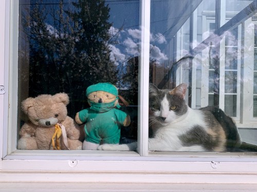 Going on a bear hunt