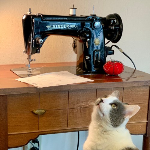 Singer sewing machine and cat