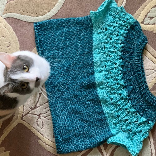 Love Note sweater FO and cat