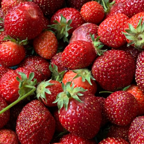 Hood strawberries