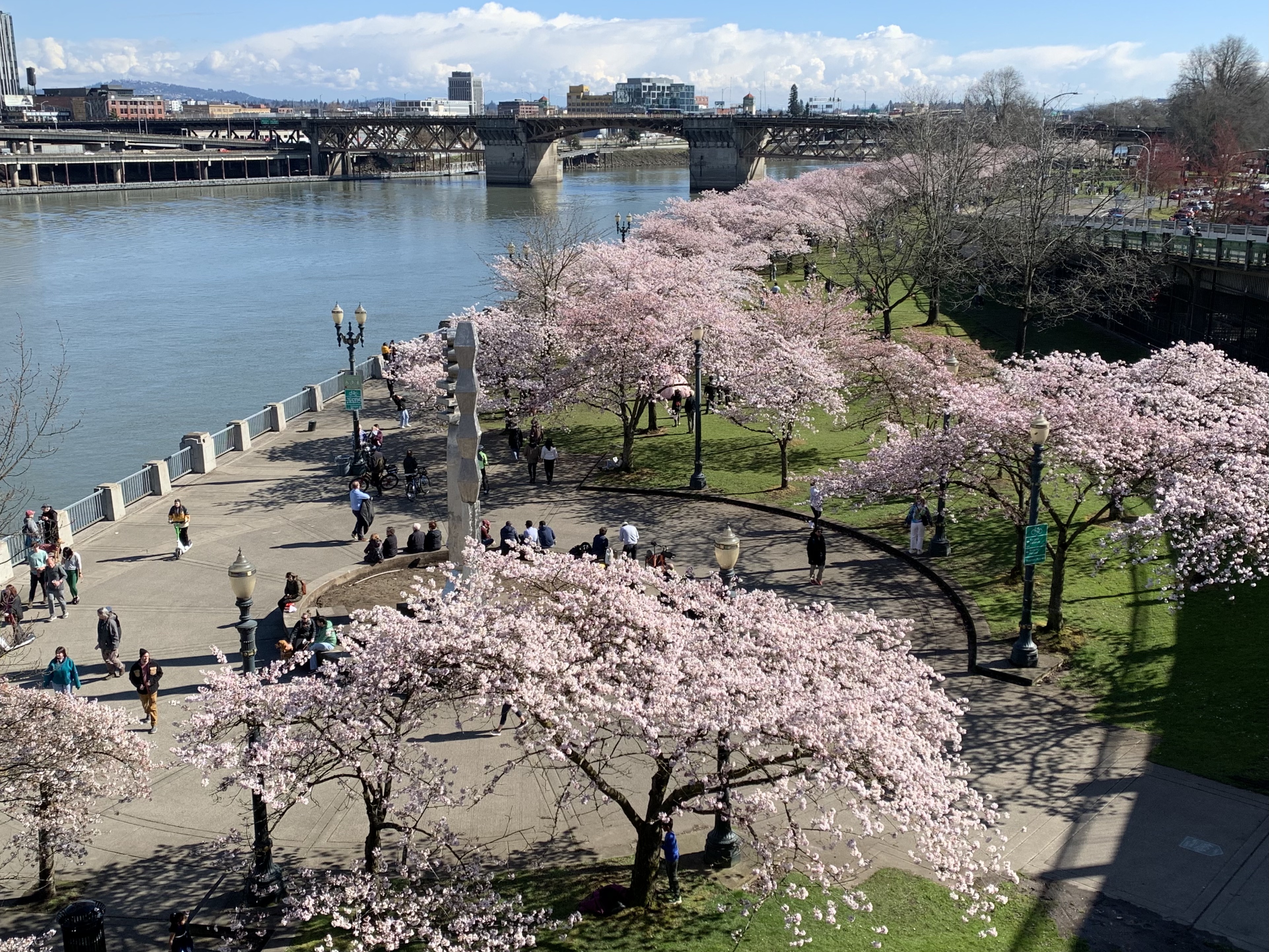 Spring is springing | PDXKnitterati