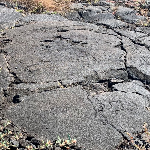 Petroglyphs at Kaloko Honokohau National Historic Park