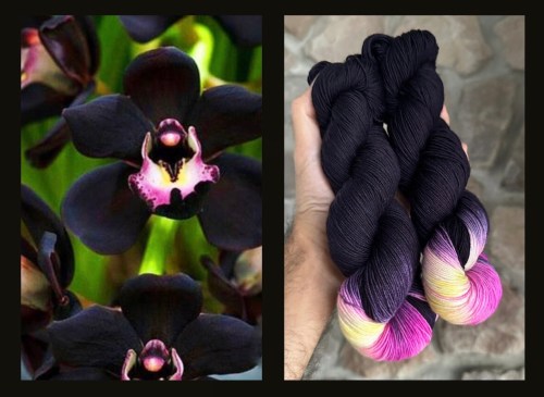 A black orchid is inspiration for the Black Orchid yarn colorway