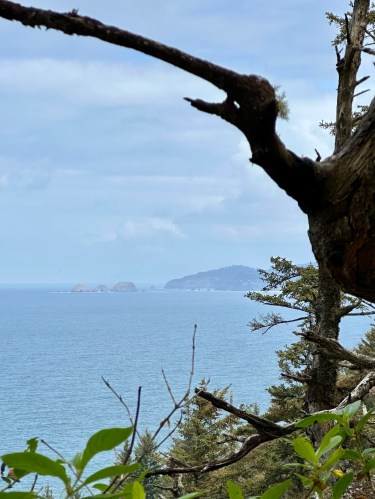 view north from Cape Lookout to Cape Meares