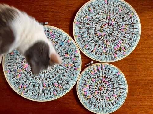Three knit circles featuring assigned pooling, and a cat