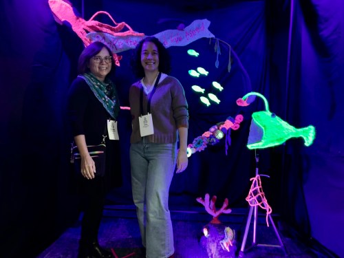 ellie d'eustachio's knitted coral reef