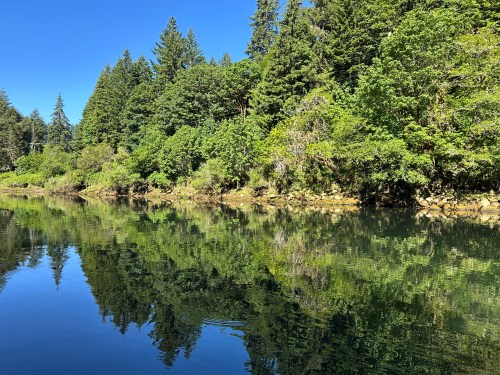 Alsea River

